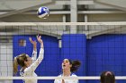 Volleyball vs Babson  Wheaton Women's Volleyball vs Babson College. - Photo by Keith Nordstrom : Wheaton, Volleyball, VB